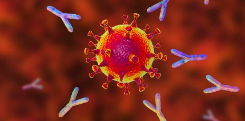 Установиха от какво зависят нивата на антитела при боледувалите К-19