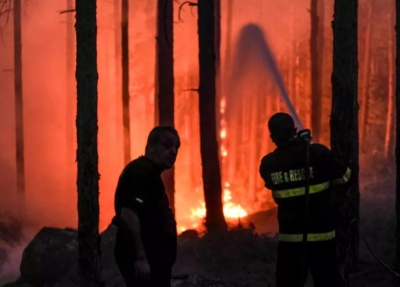 Нов пожар пламна в Сакар планина, пожарникари се борат с огъня
