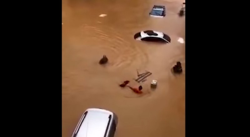 Потоп в Черноморска Турция – домове и коли във вода, евакуирани хора ВИДЕО