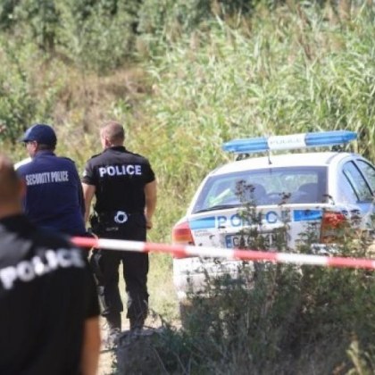 Клон падна и уби жена, докато събирала дърва в гората
