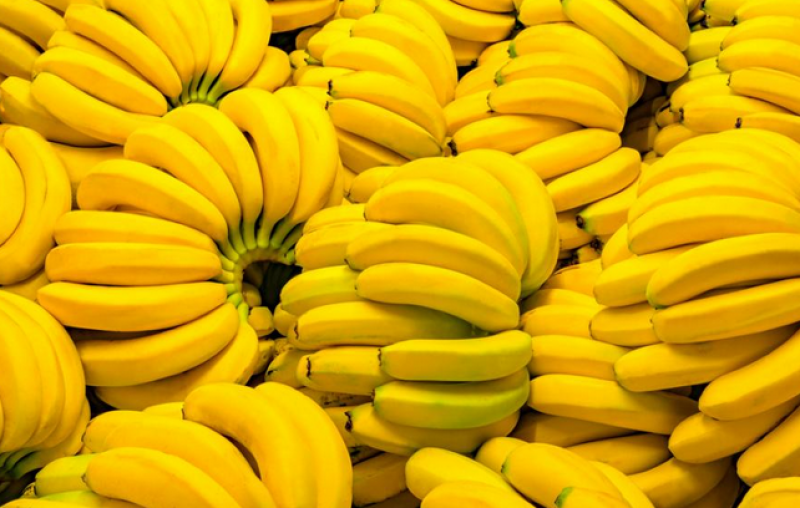 Заловиха кокаин за десетки милиони в кашони с банани