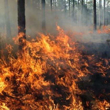 Втори ден - голям пожар гори край хасковско село