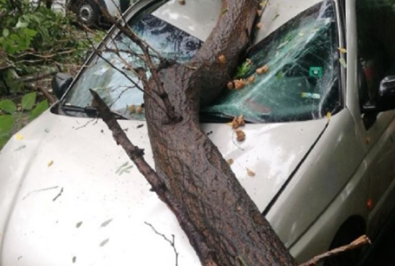 Шофьор се заби с колата си в дърво, жена е с опасност за живота