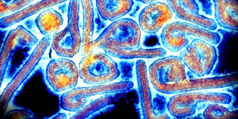 СЗО предупреждава за нова епидемия на силно заразно заболяване