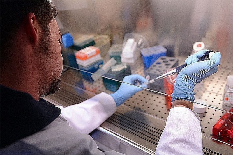 Нова група експерти на СЗО ще установява пак произхода на коронавируса