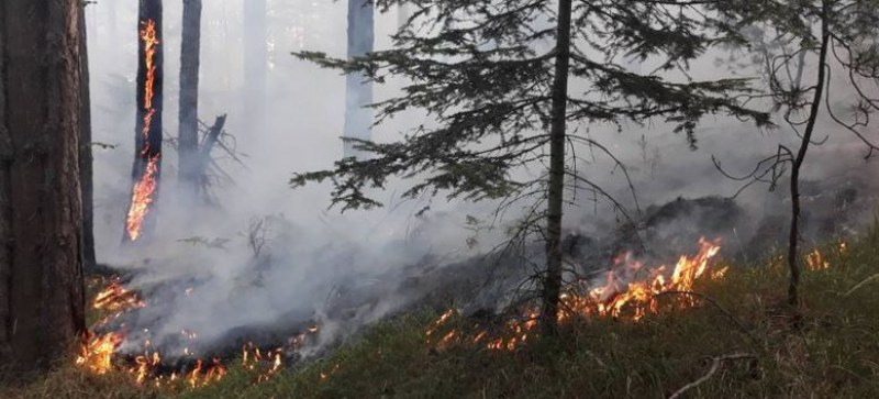 Тревожно! Разраства се пожарът в Родопите