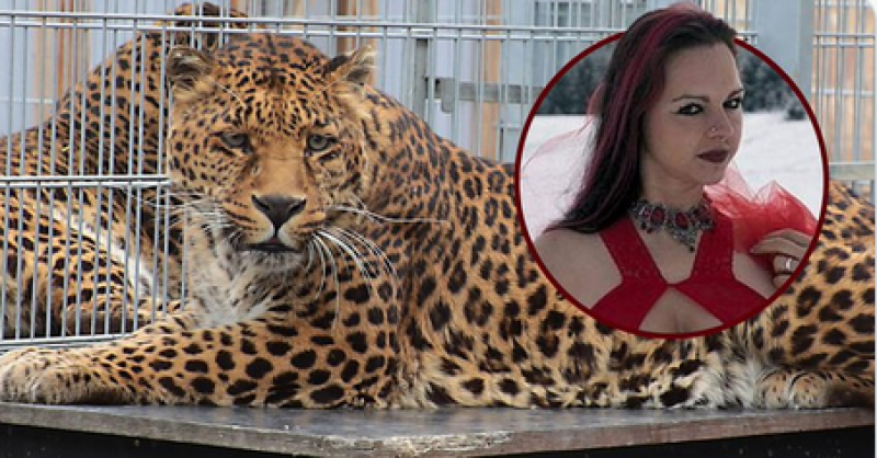 Леопард нападна модел по време на фотосесия, пострадалата е в болница СНИМКИ