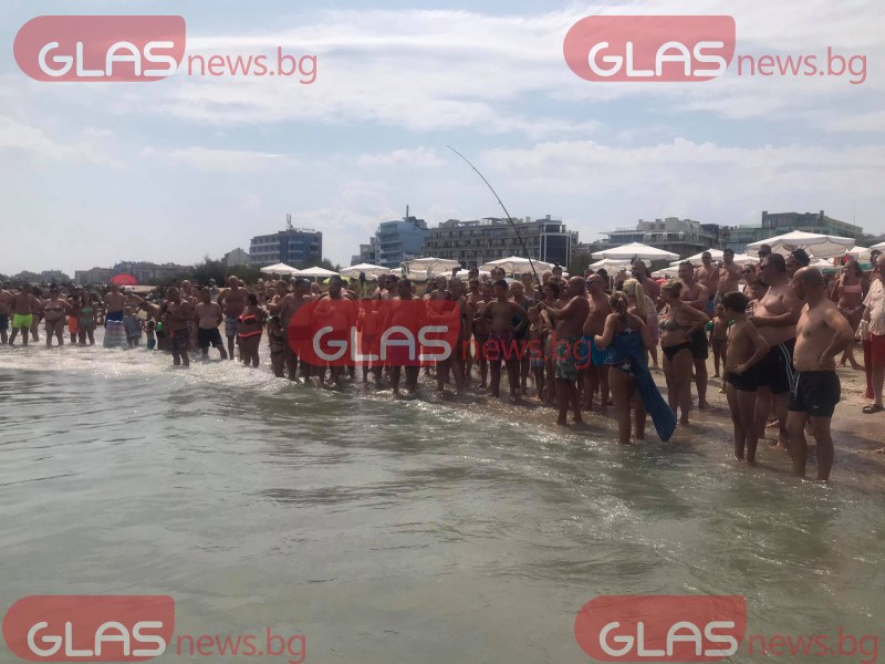 Отровна риба уловиха на плажа в Поморие! Над 100 туристи гледат атракцията СНИМКИ+ВИДЕО
