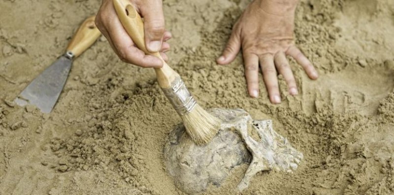 Удивителна археологическа находка: Скелет от непознат човешки вид!