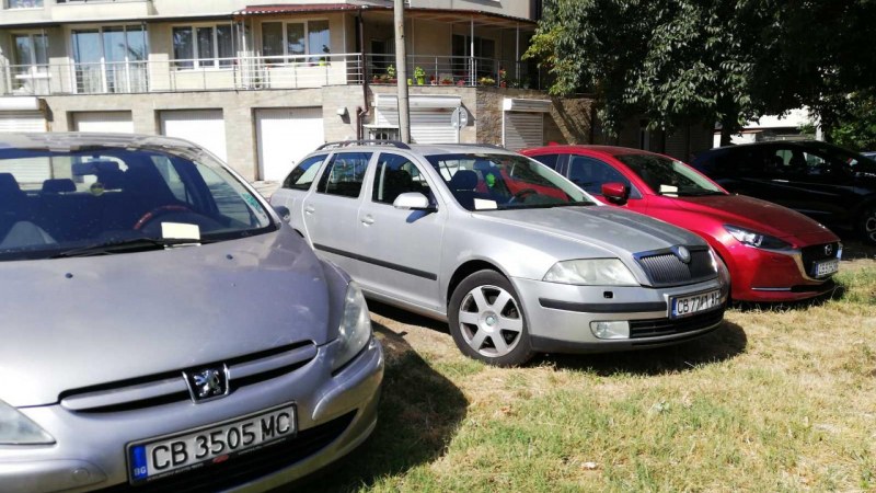 За месец над 100 глобени за паркиране в зелени площи в София