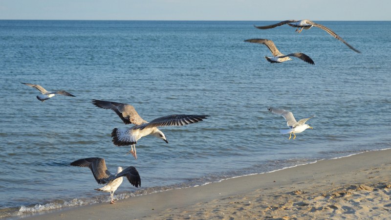 Лятото продължава. Слънчев понеделник с морски бриз на плажа и 27°C