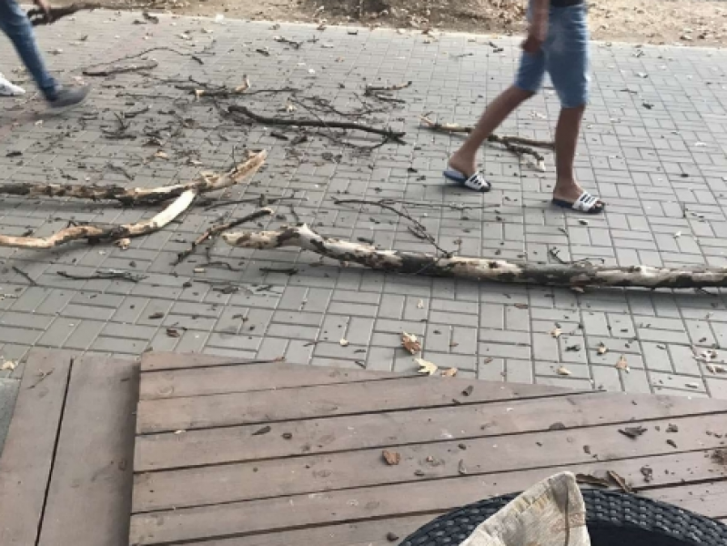 Клон падна върху разхождащо се дете