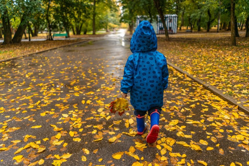 Типично есенно: Облачно, дъждовно и ветровито. Градусите с малко над 20