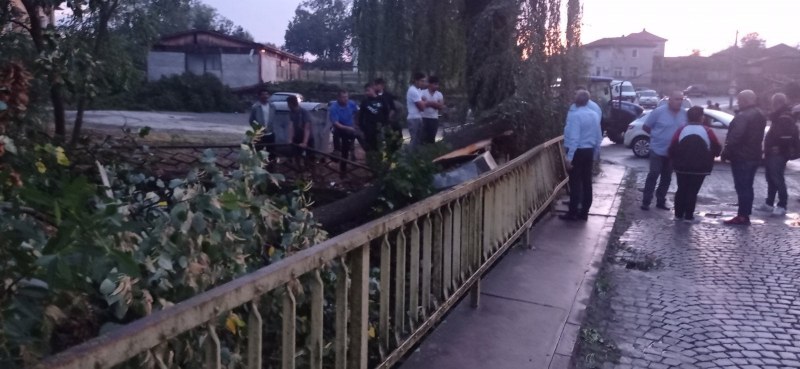 Торнадо връхлетя Тополовградско: Няма ранени, има погром СНИМКИ и ВИДЕО
