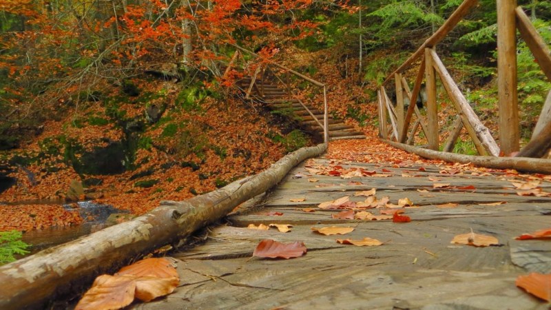 Да хванем пътя: 10 родни места, още по-красиви през есента СНИМКИ