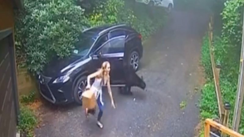 Жена откри мечка на шофьорската седалка, последваха писъци ВИДЕО