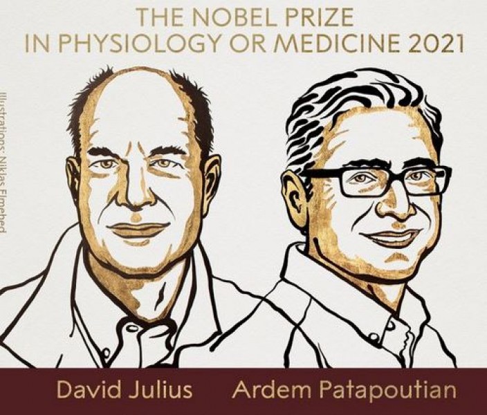 Нобелов приз получиха учени с открития, свързани с рецепторите за температура и допир