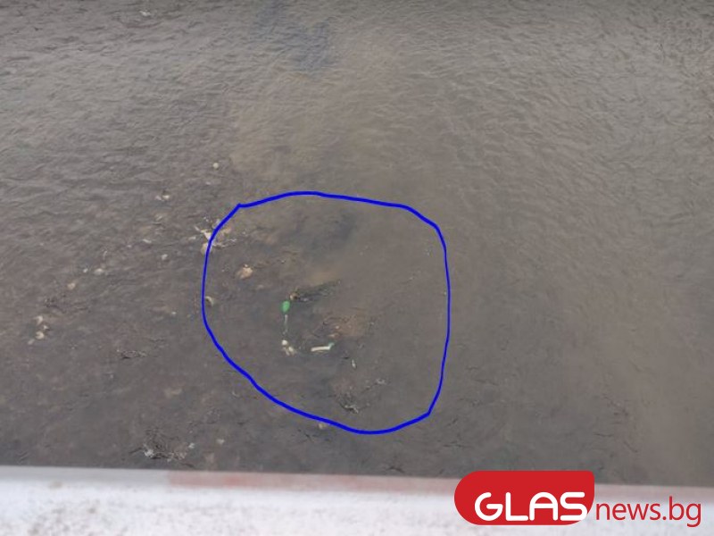 Захвърлена електрическа тротинетка в Марица разгневи пловдивчани СНИМКИ
