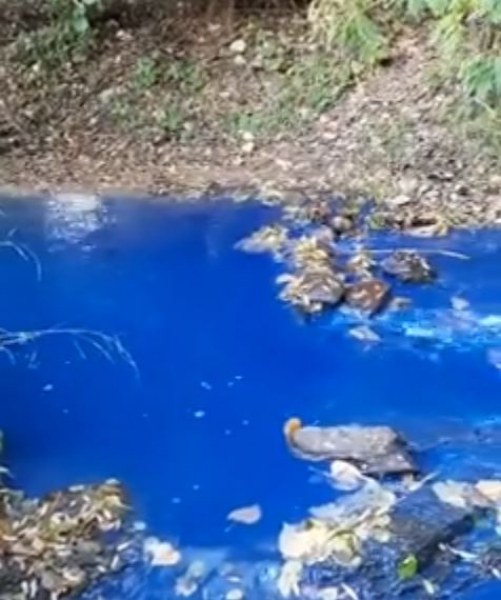 Река в Пловдивско стана чисто синя ВИДЕО