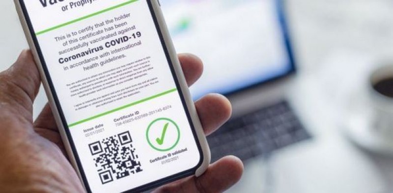 Каква е схемата за купуване на фалшив зелен сертификат? Колко струва?