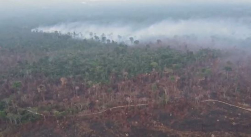 COP26 с две решения: Защита на горите и намаляване на емисиите на метан