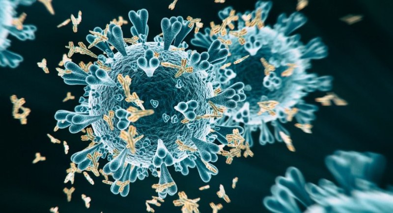 МЗ разяснява разликите между антитела след преболедуване и след ваксинация