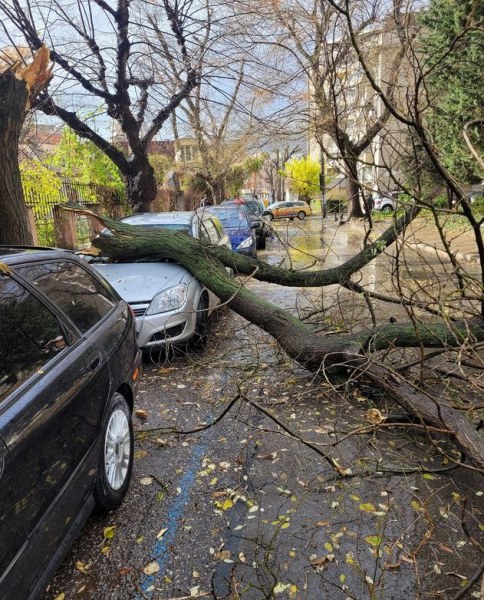 Ураганен вятър бушува в Сливенско, има щети. Част от селата са без ток СНИМКА