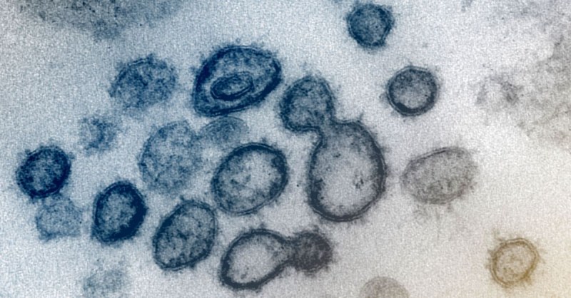 Учени от Кеймбридж: Омикрон е взел гените си от респираторен вирус!