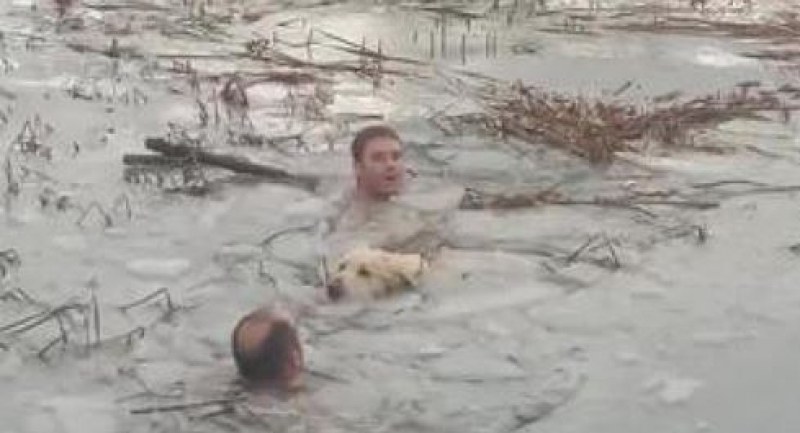 Гвардейци спасиха куче от ледените води на езеро ВИДЕО