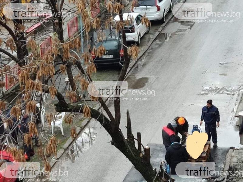 Пловдивчани пърлиха и разфасоваха прасе в централен квартал на града СНИМКИ