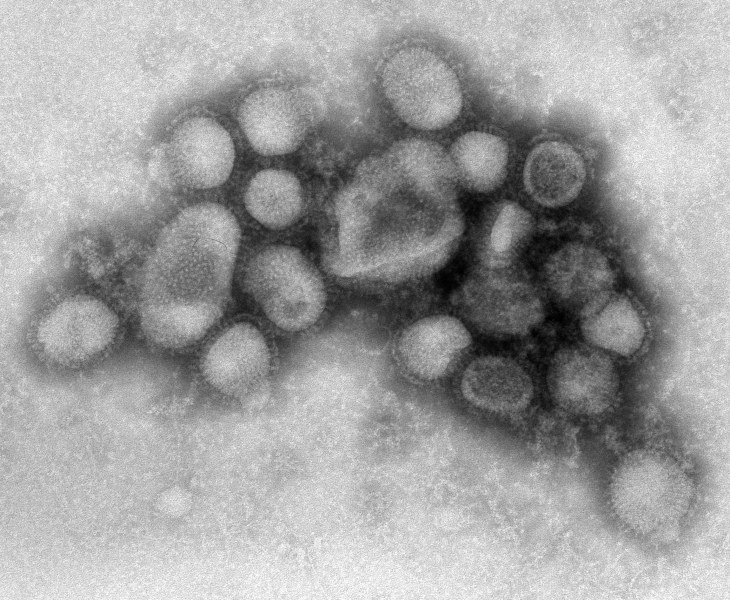 И грипните щамове постоянно мутират – как, защо и от кого да се пазим?