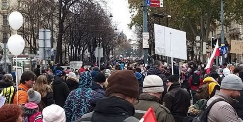 Мними полицаи бяха заловени на протеста срещу ограничителните мерки във Виена