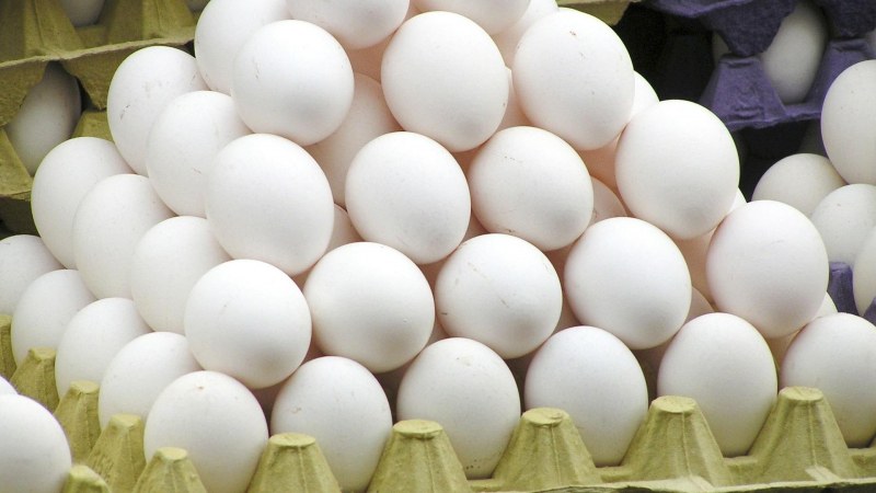 Великден е далеч, но птицевъди алармират: Риск да останем без родни яйца