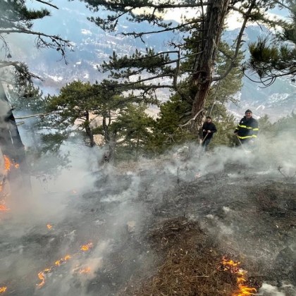 Горски пожар гори в момента над село Осеново Пушекът се