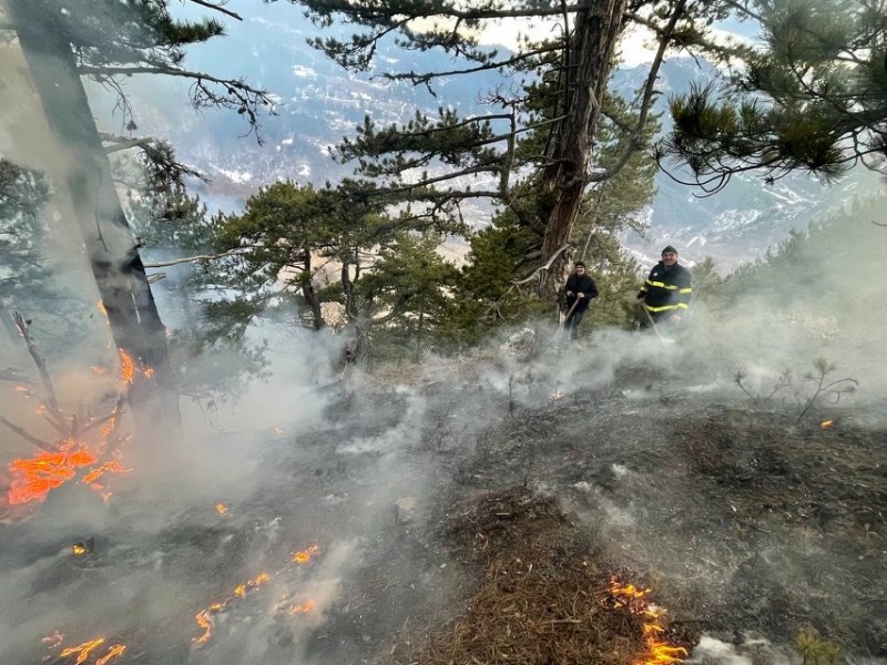Горски пожар гори в момента над село Осеново. Пушекът се