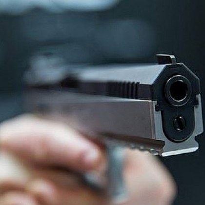 Простреляха смъртоносно домашно куче в Пловдивско