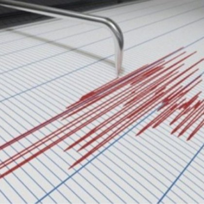 Земетресение с магнитуд от 4 8 по скалата на Рихтер
