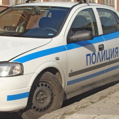 Нечувана жестокост: След жесток побой – коте без очи и със счупена челюст!