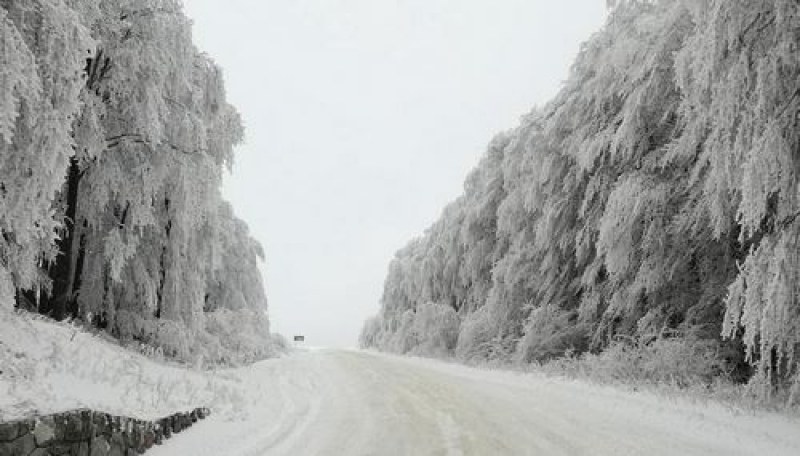 Ограничиха  движението през ГКПП 