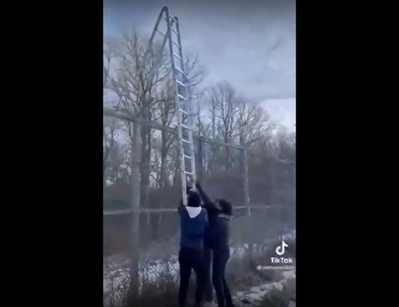 Скандално ВИДЕО: Трафикант се рекламира с бежанци на границата ни