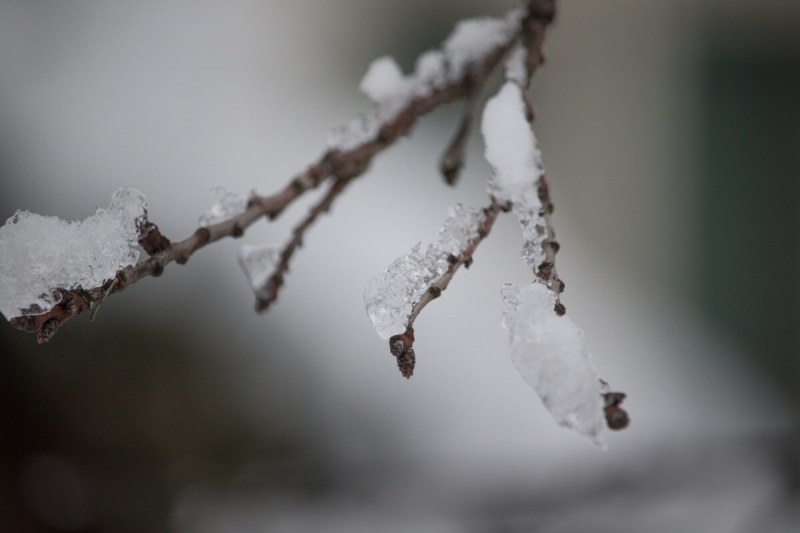 Дъжд, сняг, вятър и застудяване: Градусите днес – от 0 до цели 9