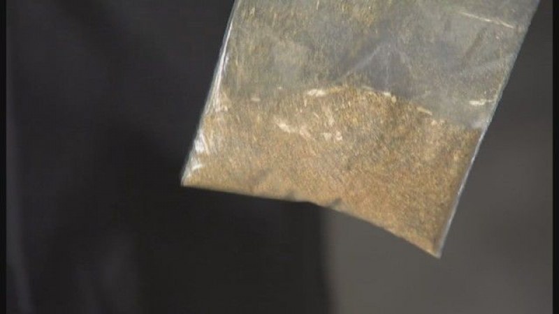 Кратом – новата модерна дрога, която плъзна из страната