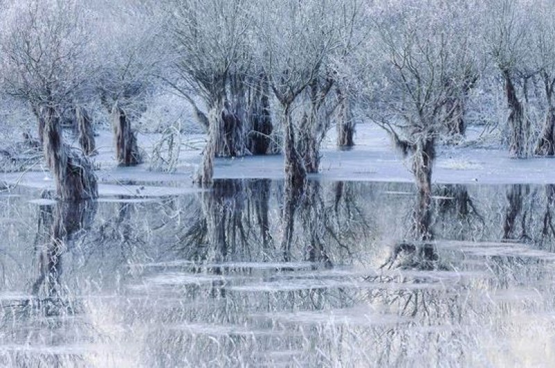 Впечатляваща снимка на замръзнало езеро спечели Наградана на публиката за