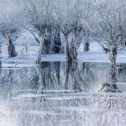 Впечатляваща снимка на замръзнало езеро спечели Наградана на публиката за