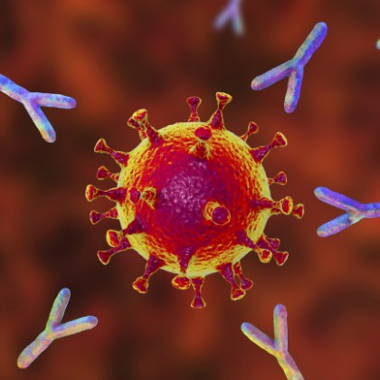 Хората които са преболедували от новия вариант на коронавирус може