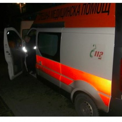 Пет деца са били нападнати и ухапани от домашно куче