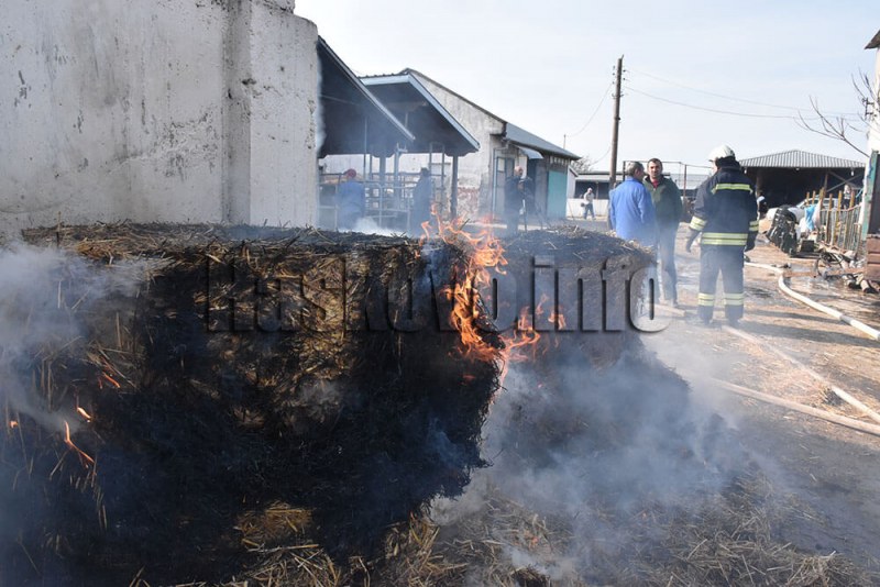 Пожар възникна в кравеферма в хасковското село Конуш. Сигналът за