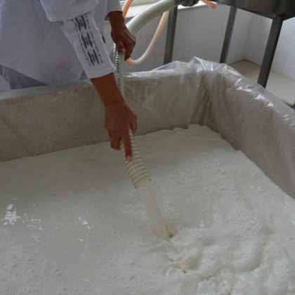 В малка мандра край Стара Загора се преработват около 100