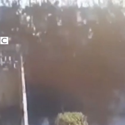 Зрелищно, но и зловещо: Ято птици падат от небето в Мексико ВИДЕО