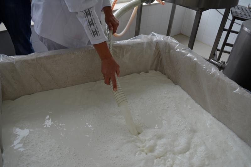 Ръст в цената на млякото, ръст и в цената на продукцията: С колко?